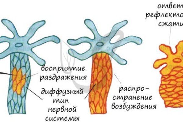 Скрытый интернет как войти
