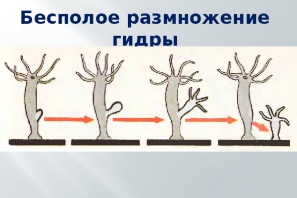 Активная ссылка на кракен