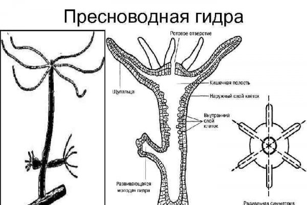 Пополнить кошелек кракен