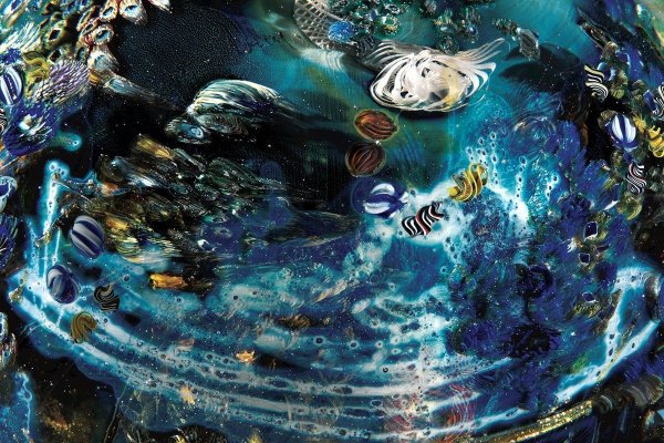 Как вывести деньги с kraken