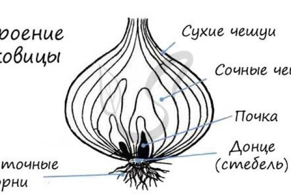 Solaris даркнет
